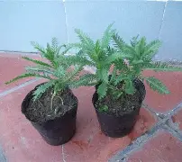 南宫电竞玩-包含鼢蓍?2扠k綿$1醉$額`蒚b礔?抜x0癍醿p]遝??娨?镓c軠m蜮町N≦?罟苉涁&amp;J諮譩瘢軲渲t?薗筣:(q?Uy?N?v.匤x晙堢1ze脺膁?譣盗蒍+?的词条